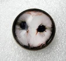 Unusual Barn Owl Antique