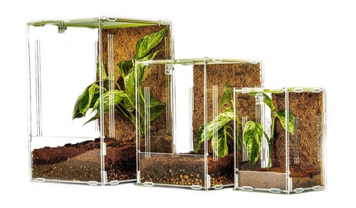 Mantis den acrylic - -,