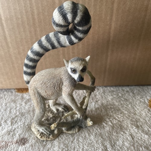 Ring tailed lemur - tailed,