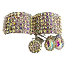 Irish Dance Heavy Shoe Buckles Earrings & Number clip gift set