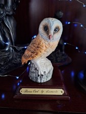 leonardo collection barn owl
