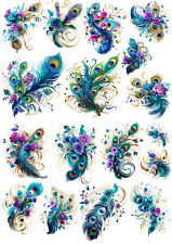 Flowers, Peacock, Feathers