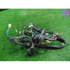 Main wiring harness Malaguti