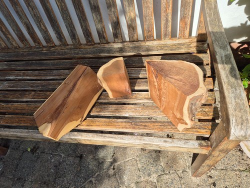 Yew offcuts various - yew,