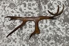 Antler Hat and Coat Holder