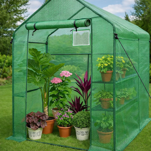 Walk garden greenhouse - walk-in,