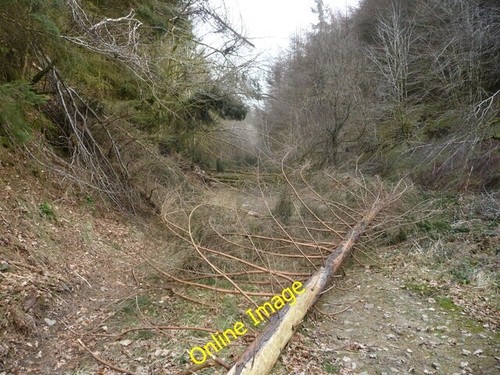 Photo 6x4 path cwm gwyddon - path,