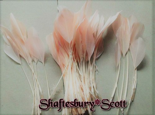 Long blush dyed coupe - blush,