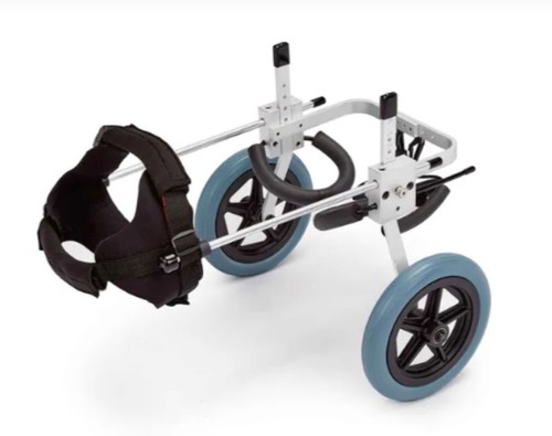 Best friend mobility - mobility, elite