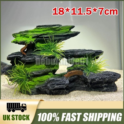 Aquarium fish tank - aquarium, decor