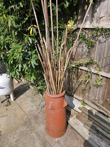 Chimney pot terracotta - pot,