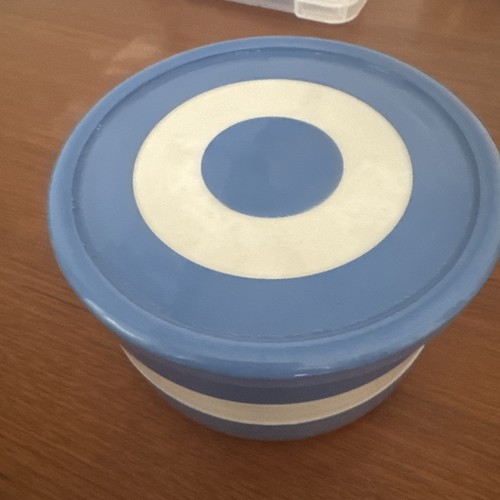 Vintage blue white cornish - blue,