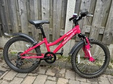 Ridgeback Harmony Mountain