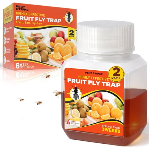 Fruit fly trap catcher - trap,