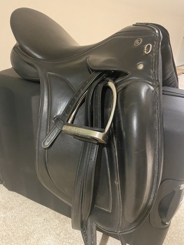 Keiffer piet dressage - keiffer,