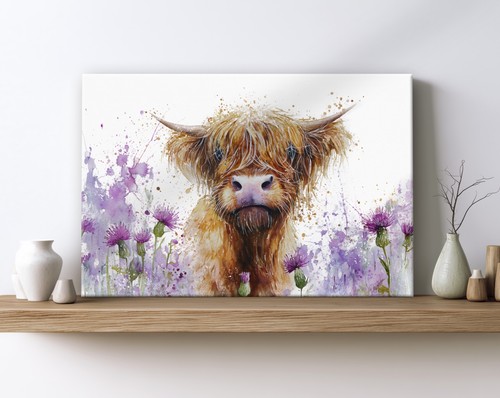 Highland cow thistle - highland,