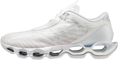 Mizuno wave prophecy - mizuno,