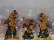 Airedale Terrier Christmas Cards By Ann Curran Of Ragtail Airedales