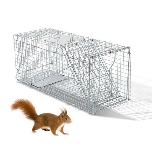 Humane live animal cage trap - live,