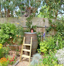 LARGE 500LTR GIANT SCOTCH WHISKEY OAK WOODEN BOURBON BARREL ICE BATH PLUNGE POOL