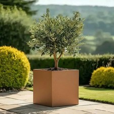 Zinc Galvanised Square Planter