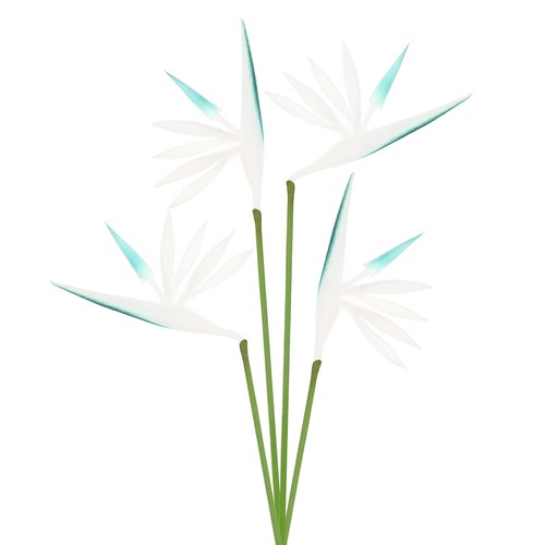 Pack artificial bird - artificial,