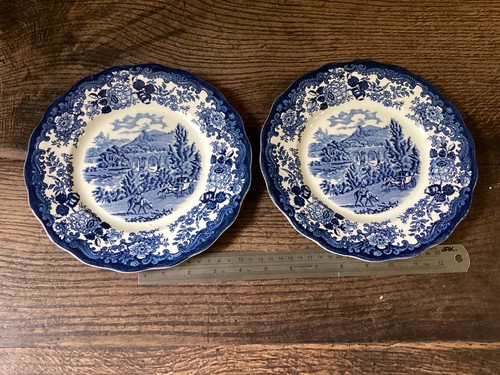 Royal worcester palissy blue - ,
