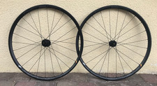 HED Belgium R (Ardennes) disc