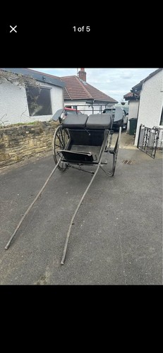Horse cart trap pony - horse,