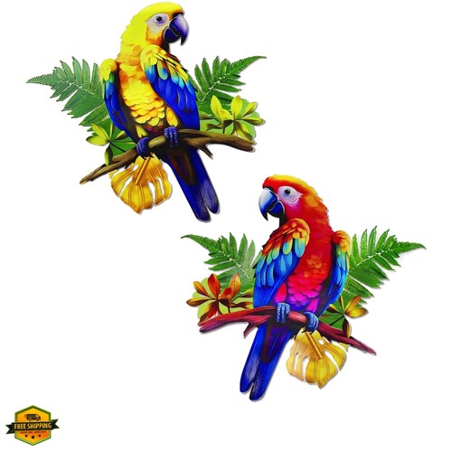Pack metal parrot wall - pack,