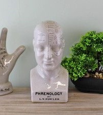 Phrenology Head Bust Scuplpture Ornament Ceramic Home Decor White Medium 25cm