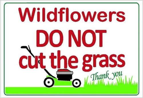 Wildflowers please not - do, cut