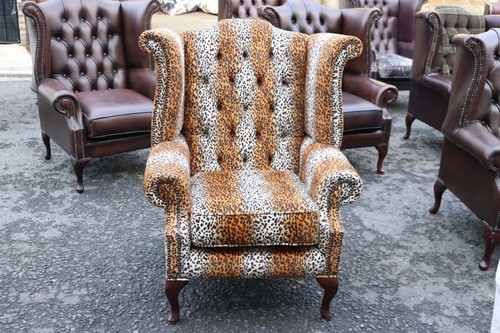 Velvet animal print - animal, high