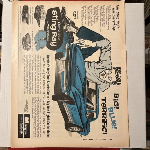 1965 corvette sting ray - sting, •