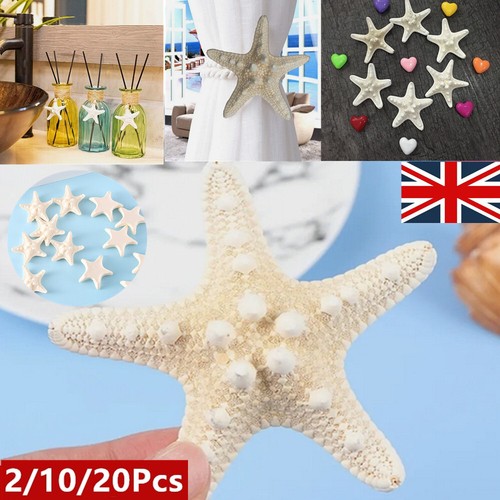 20pcs natural sea star - natural, tiny