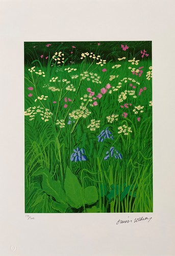 David hockney the - "the, of