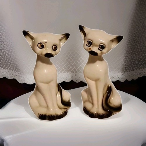 Twin siamese kitty cats - twin,