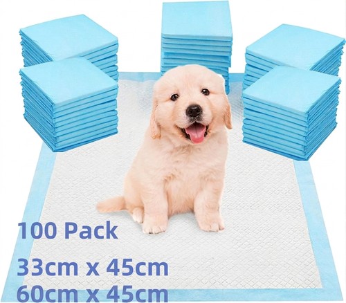100 large puppy training - puppy,