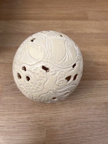 Ostrich egg - ostrich,
