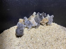 Silkie Boxes