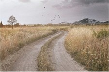 Ikea Bjorksta Winding country