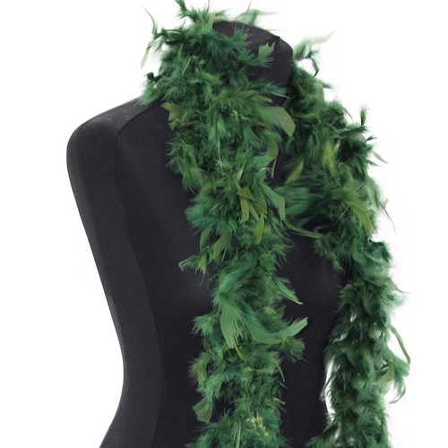 Beautiful pine green feather - pine,