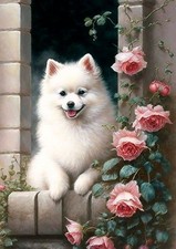 POMERANIAN SPITZ DOG GREETING