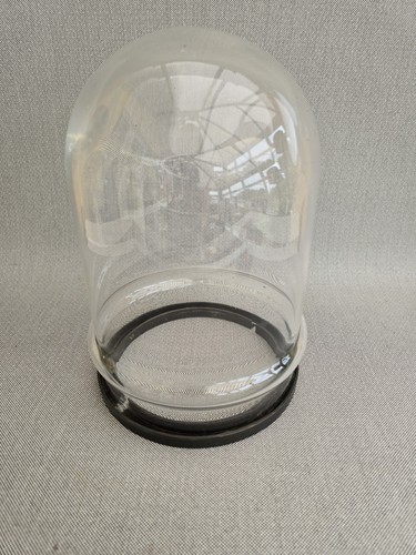 Vintage glass display cloche - vintage,