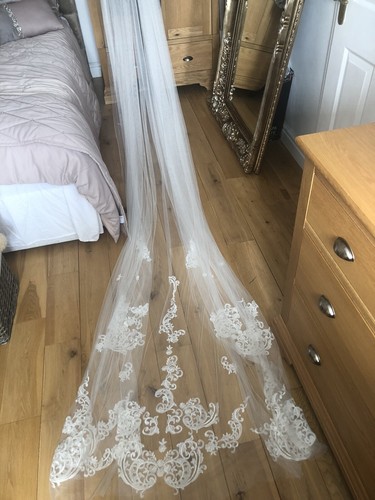 Pronovias veil beautiful - ,