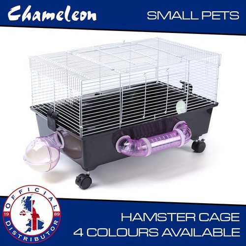 Large animal hamster - animal, cage