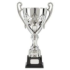 LARGE SILVER Trophy