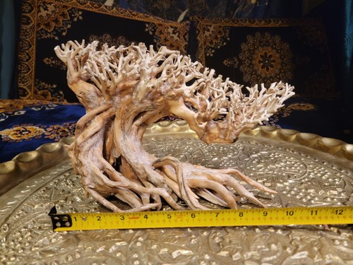 Handcrafted driftwood bonsai - handcrafted,