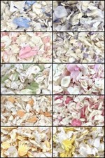Biodegradable wedding confetti - biodegradable,