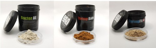 Glasgarten bacter baby - bacter, +